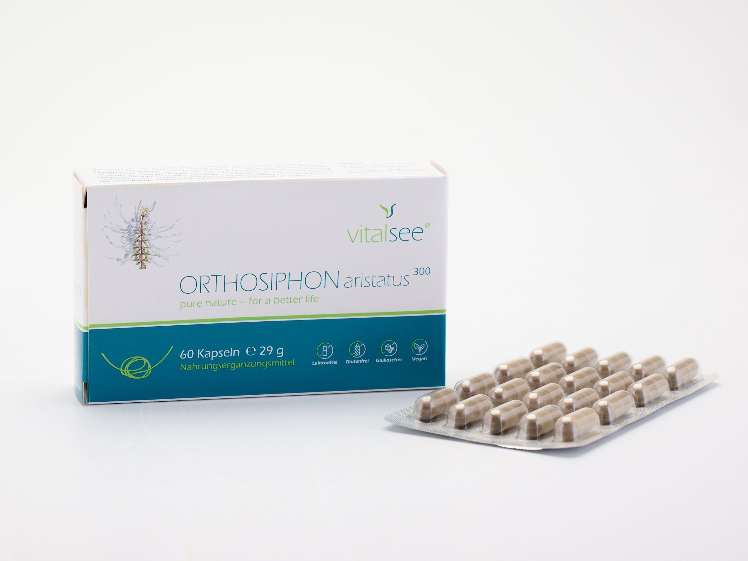 Vitalsee ORTHOSIPHON aristatus 300 Extrakt Packung mit 60 Kapseln und Blisterpackung. Grün-weiße Verpackung.