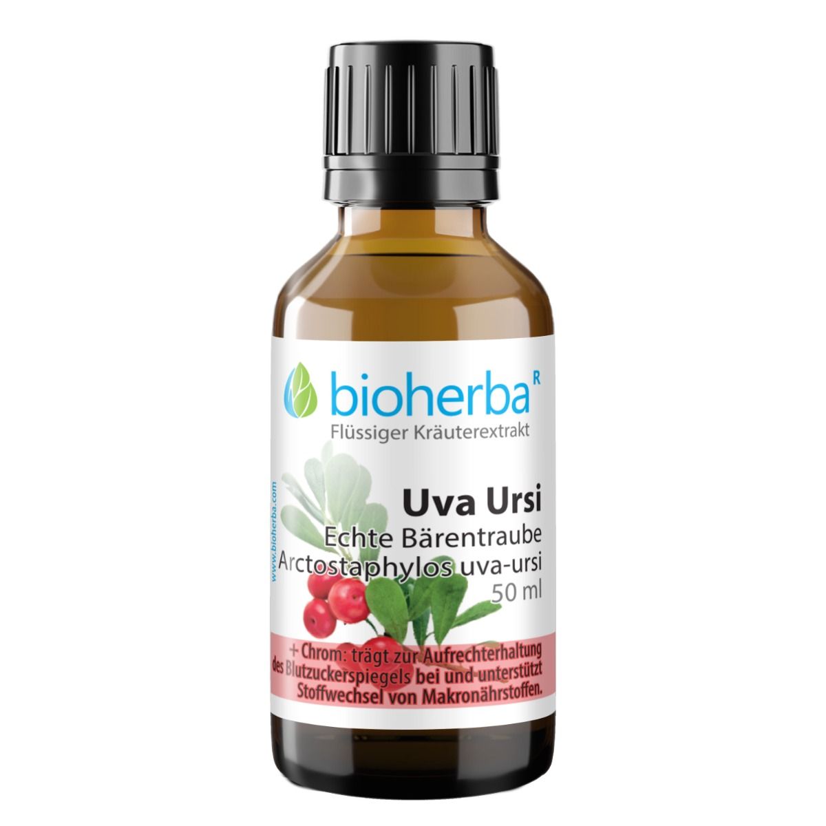 Braune Glasflasche mit schwarzem Deckel. Etikett mit Produktname und Logo. Produkt: Uva Ursi, 50 ml. Marke: Bioherba.