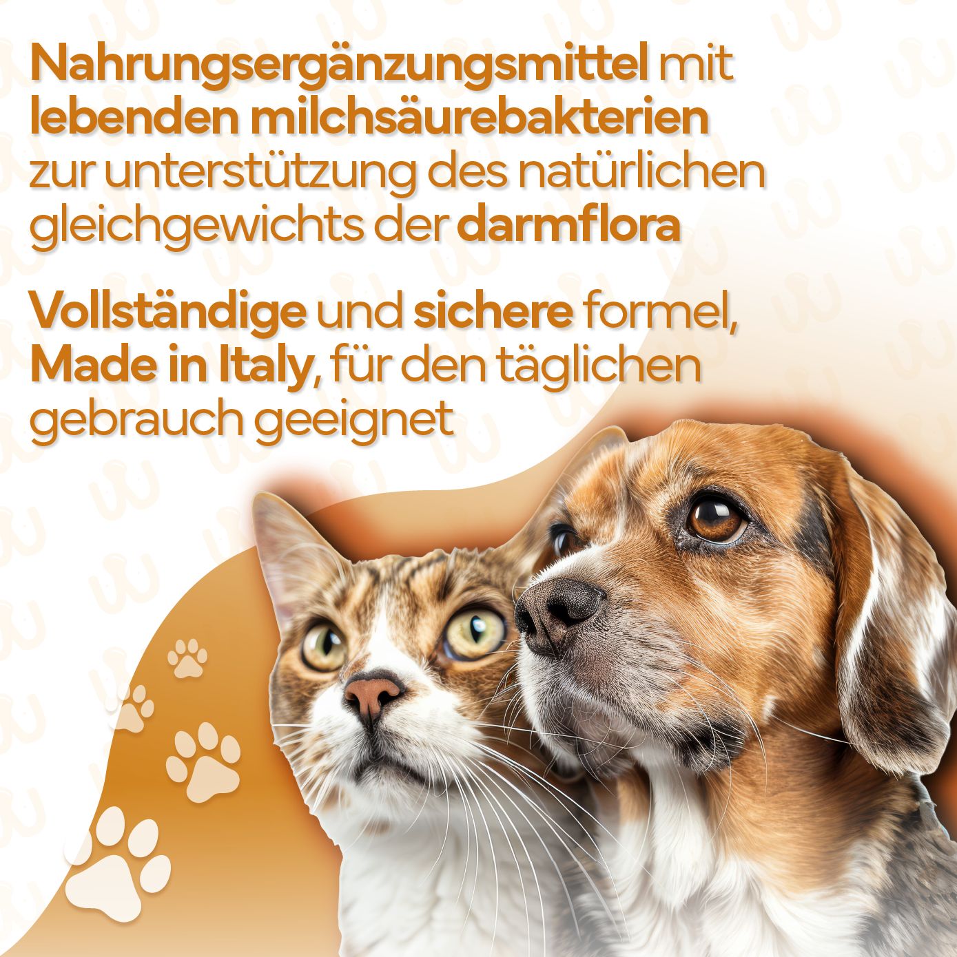 Katze und Hund vor orangefarbenem Hintergrund. Text: Nahrungsergänzungsmittel mit lebenden Milchsäurebakterien. Made in Italy.