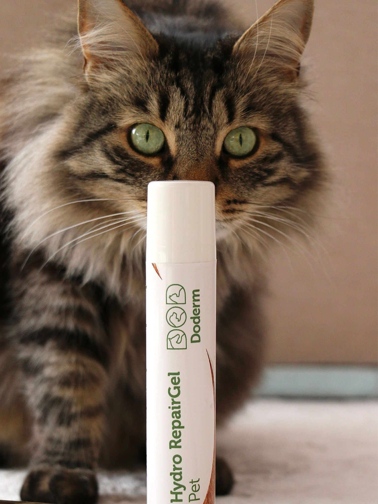 Doderm RepairGel Pet