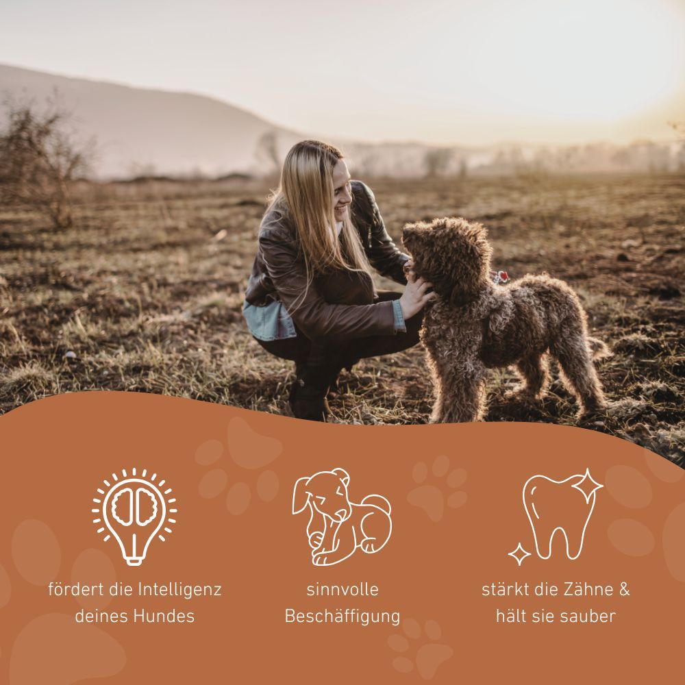 Eine Frau und ein Hund im Freien. Icons: Intelligenz fördern, sinnvolle Beschäftigung, Zähne stärken.