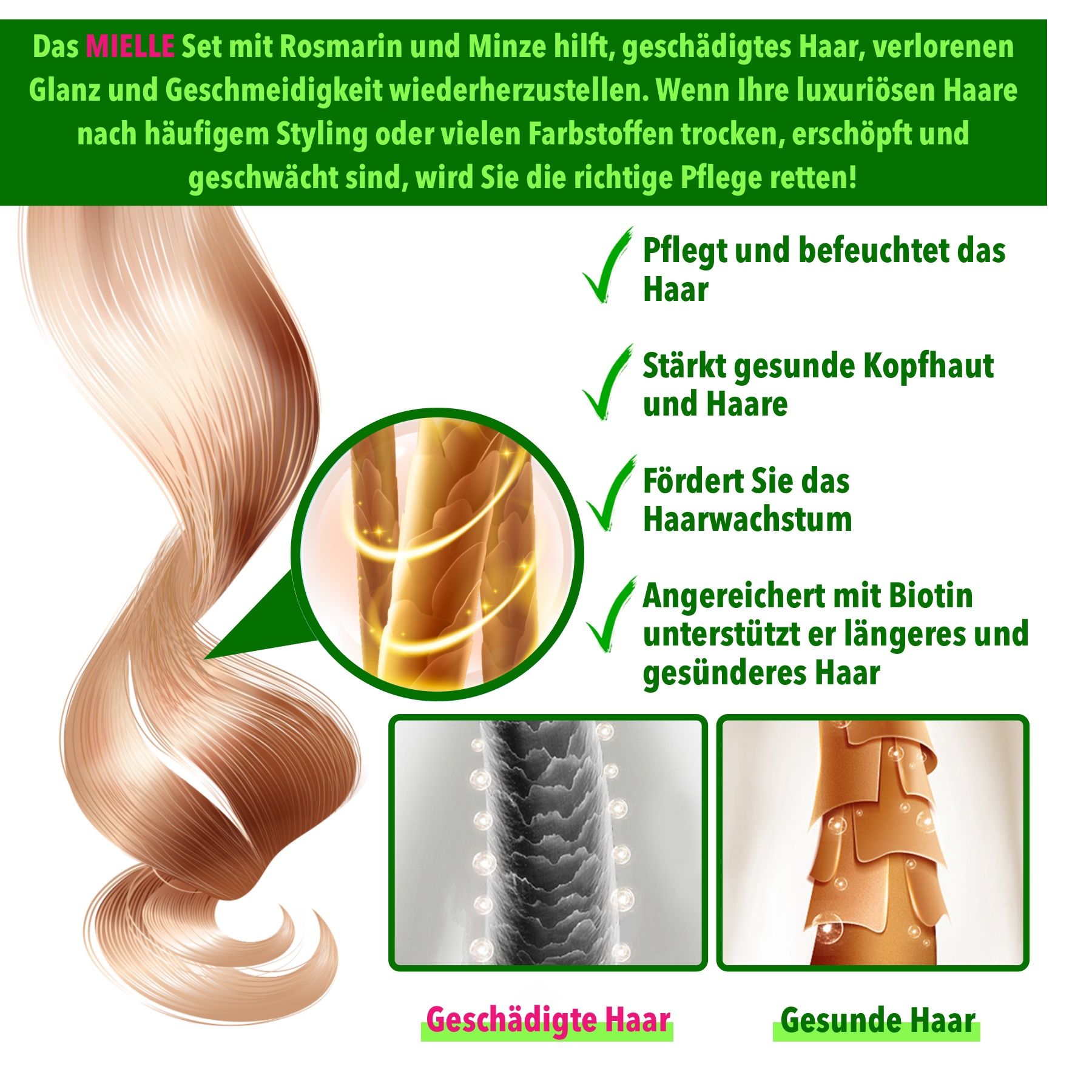 Mielle Organics Rosmarinöl Haarpflege-Set Shampoo Conditioner Haarmaske