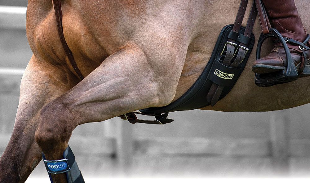 Schwarzer Kurzgurt am Pferd. Sichtbar sind Schnallen und das PROLITE-Logo. Der Reiter sitzt im Sattel.
