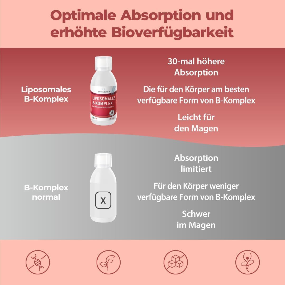Bandini Vitamin B Komplex Liposomal Flüssigformat