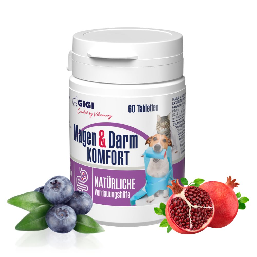 Weiße Tabletten-Dose mit Aufschrift Magen & Darm Komfort. Blaubeeren und Granatapfel daneben.