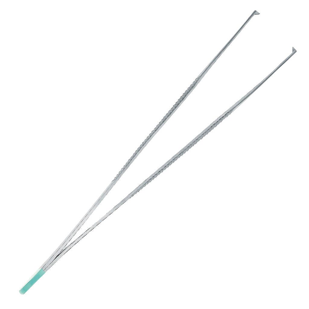 Adson Pinzette chirurgisch, gerade, 12 cm. Metall, geriffelte Griffflächen, Spitze mit feinen Zähnen. Türkisfarbene Spitze.