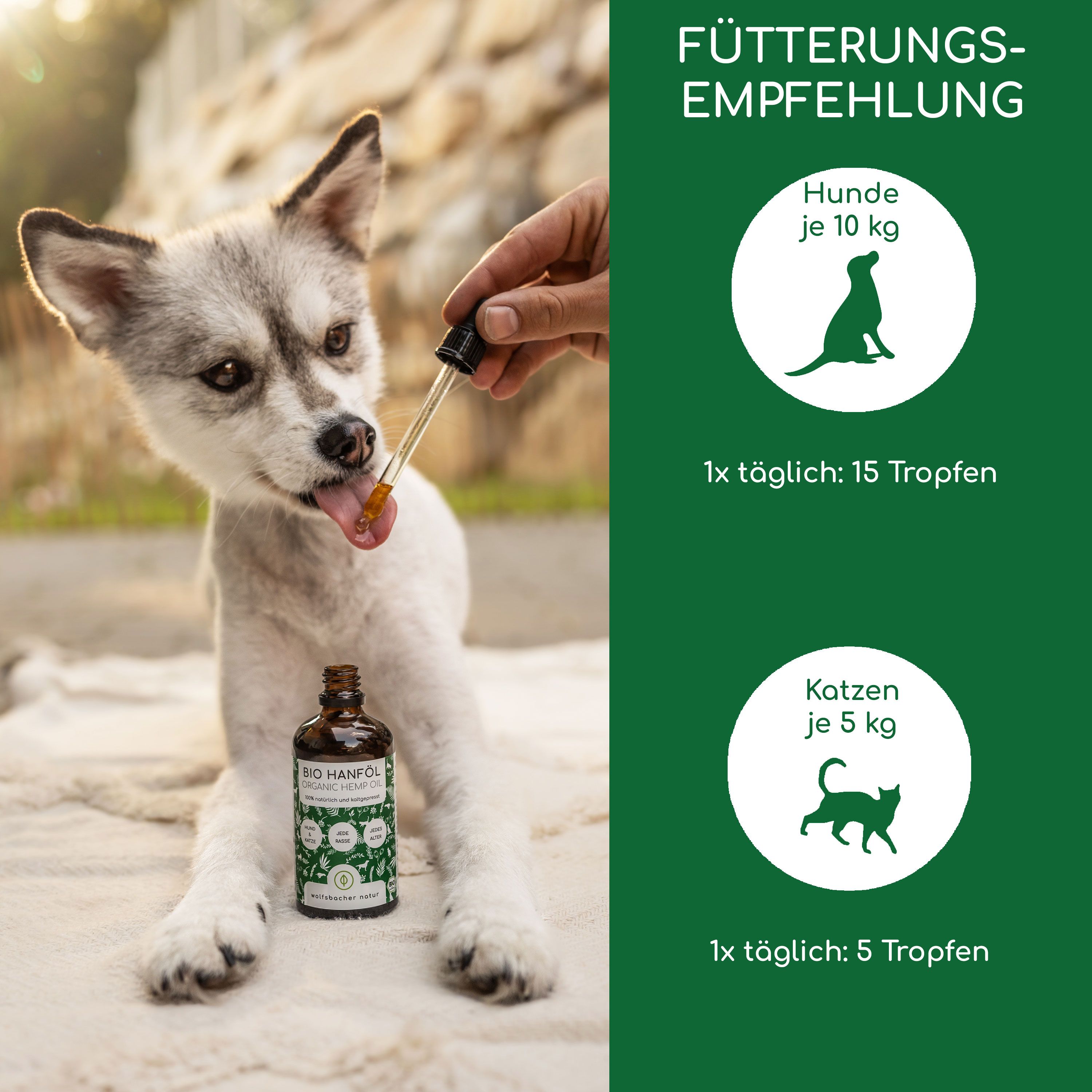 Eine Hand gibt einem Hund Tropfen aus einer Bio Hanföl-Flasche. Fütterungsempfehlung für Hunde und Katzen.
