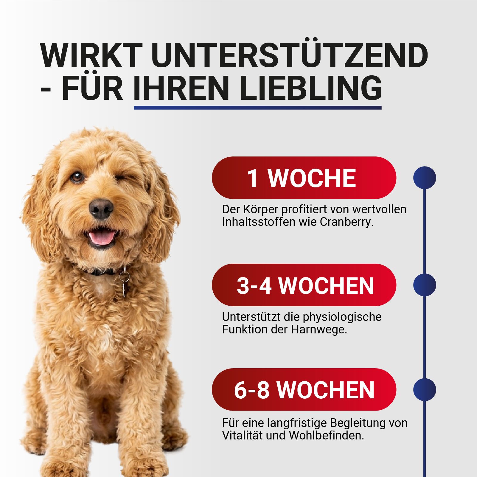 Hundefutter: Blase Soft Snack, getreidefrei. Unterstützt Blase und Harnwege. Praktischer Snack für jeden Tag.