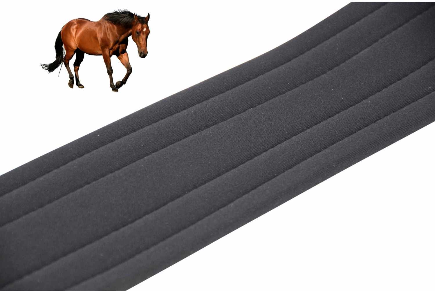 Schwarzer Sattelgurt, Detailansicht. Pferd im Hintergrund.