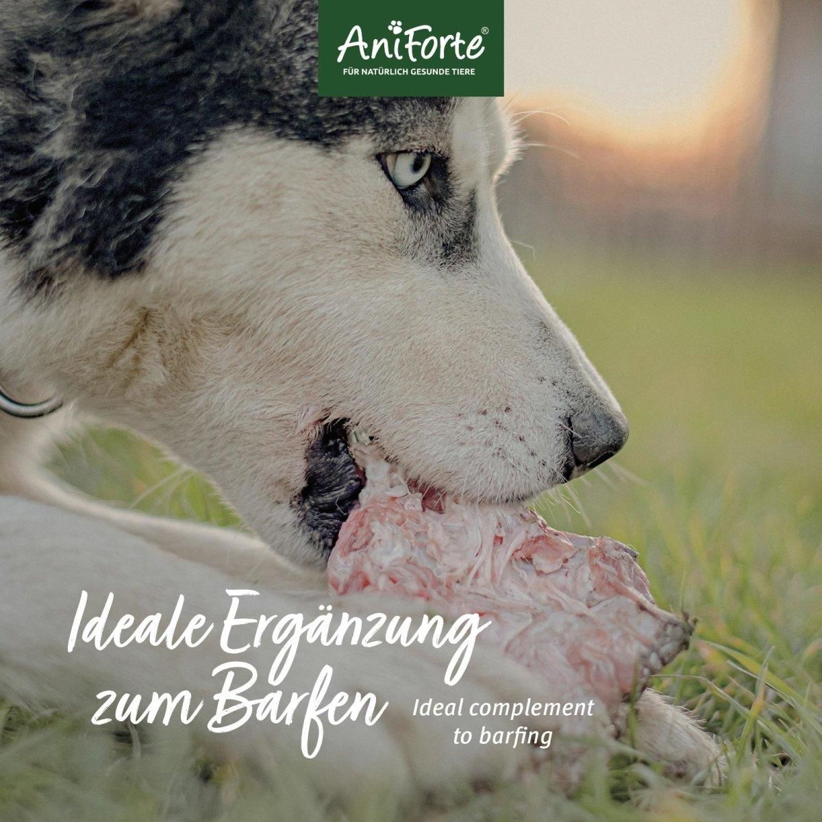 Hund frisst. Text: Ideale Ergänzung zum Barfen.