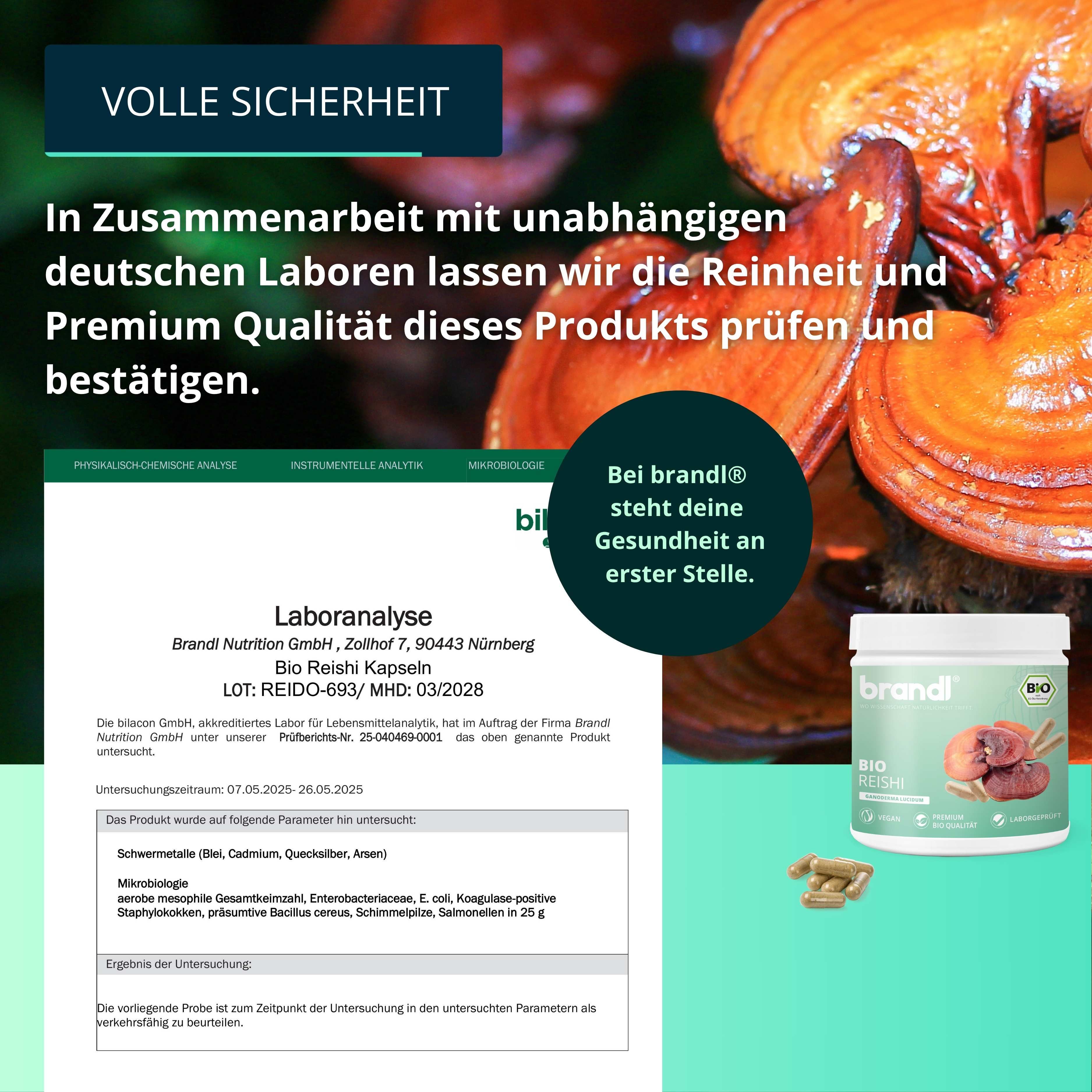 Laboranalyse-Dokument mit Produktglas und Kapseln. Text: Reishi Bio, Laboranalyse, Reinheit und Premium Qualität.