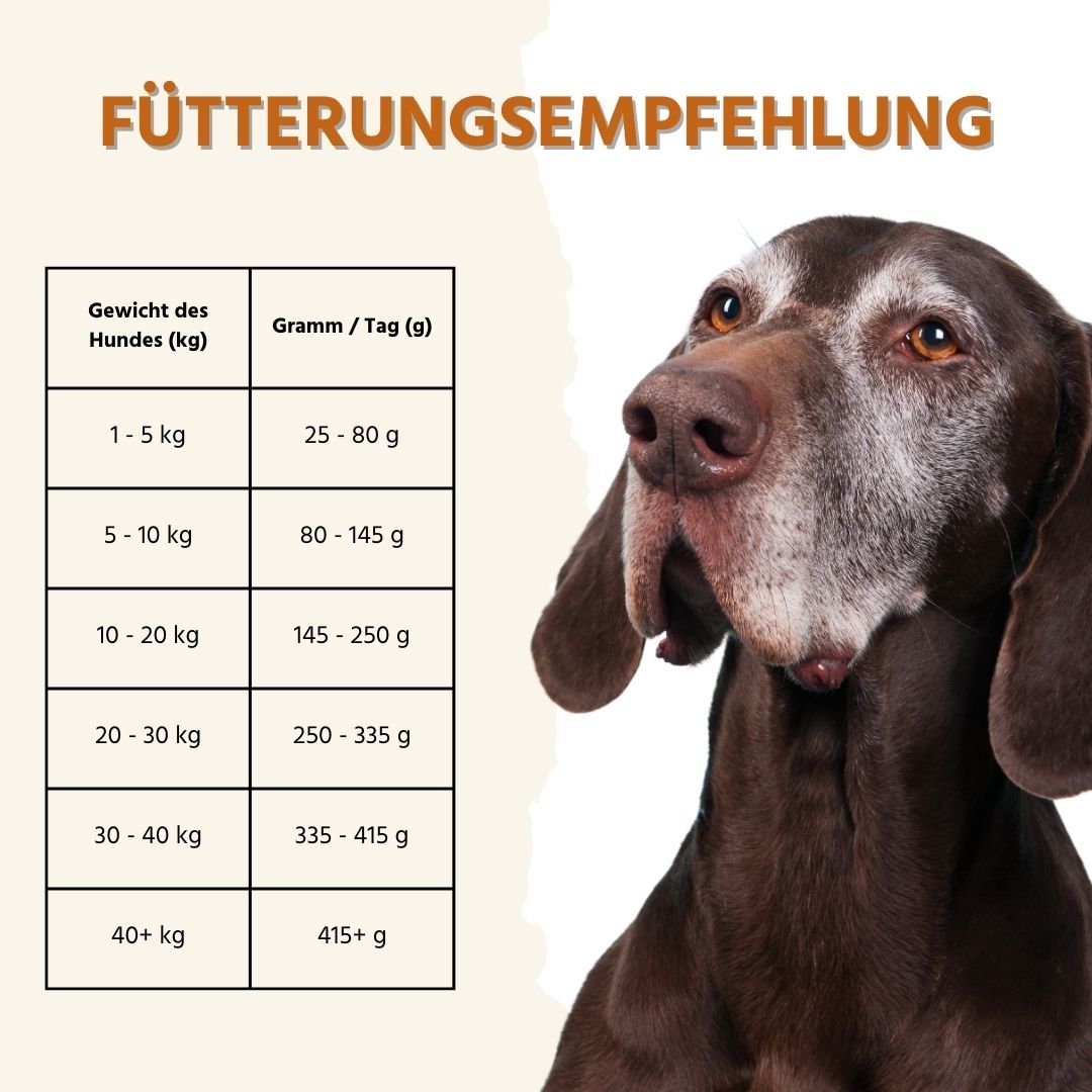 Hund mit Symbolen für gesunde Verdauung, Haut und Fell, Herz.