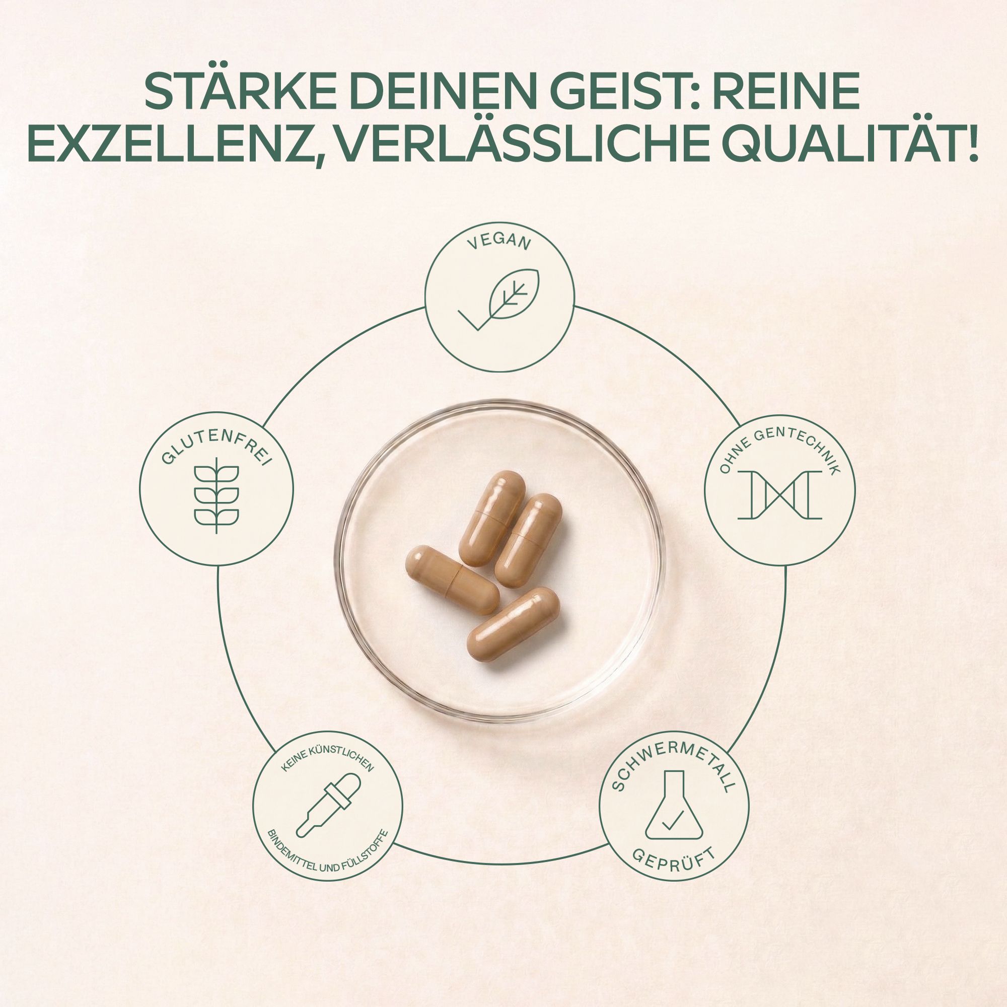 Aavalabs Ginkgo Biloba Komplex: Vegan, Glutenfrei, Ohne Zusatzstoffe.