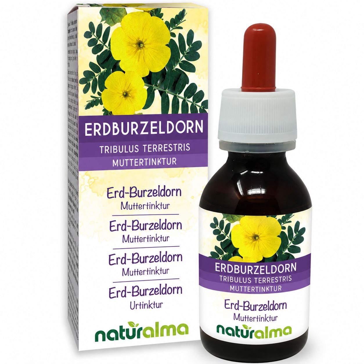 Erd-Burzeldorn Tinktur in Braunglasflasche mit Pipette und Kartonverpackung.