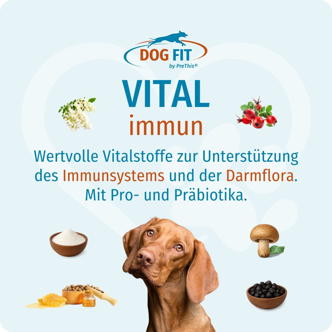 Produkt DOG FIT VITAL immun. Abbildung mit Zutaten wie Blüten, Beeren, Pilzen und einem Hund.