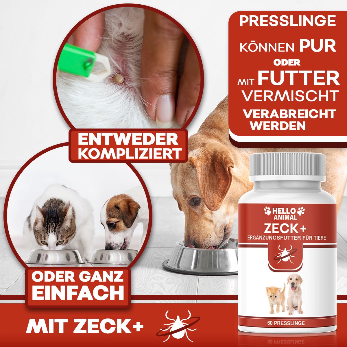 Flasche mit rotem Etikett. Text: Hello Animal, Zeck+, Ergänzungsfutter für Tiere. Bilder: Hund, Katze, Futter, Zecke. Text: Ganz einfach.