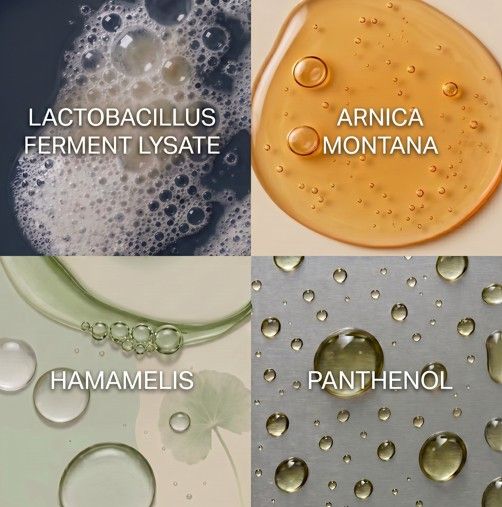 Vier Quadrate zeigen Inhaltsstoffe: Schaum, Arnika, Hamamelis, Panthenol.