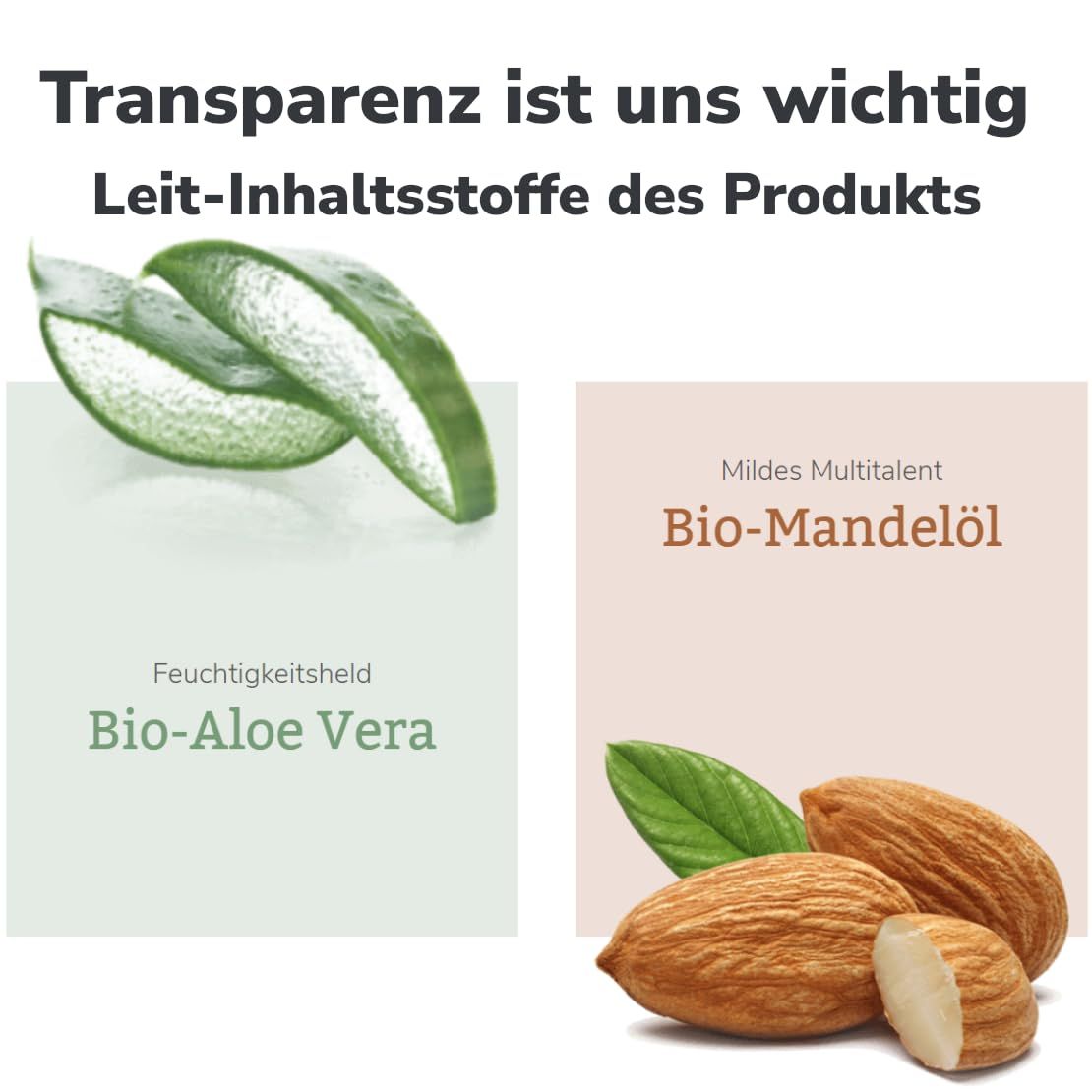 Grafische Darstellung von Inhaltsstoffen. Links: Aloe Vera-Blatt. Rechts: Mandeln. Texte: Bio-Aloe Vera, Bio-Mandelöl. Hintergrund: hellgrün und beige.