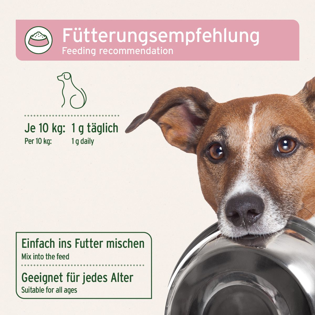 Hund mit Futternapf. Text: Fütterungsempfehlung. Je 10 kg: 1 g täglich. Einfach ins Futter mischen.