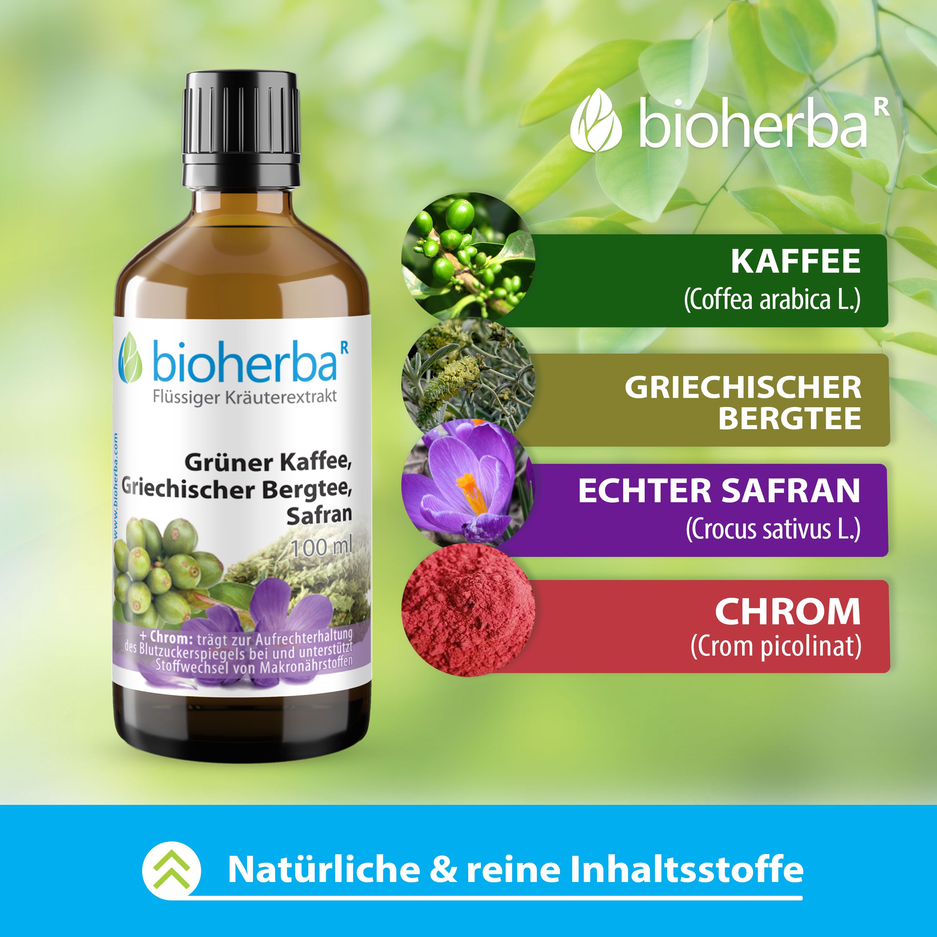 Braune Flasche mit Etikett. Grüner Kaffee, Griechischer Bergtee, Safran. Abbildungen von Inhaltsstoffen: Kaffee, Bergtee, Safran, Chrom.