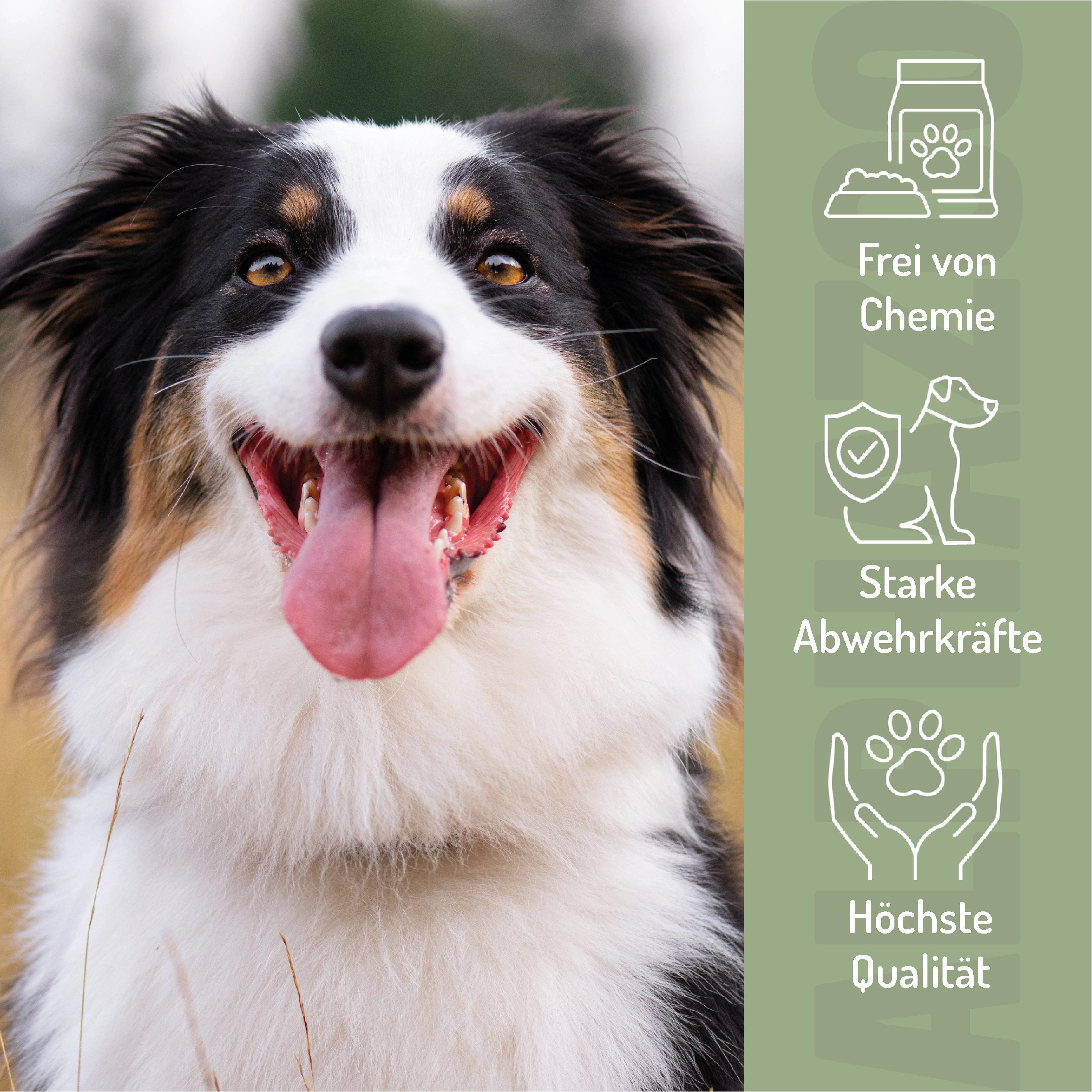Hund mit offenem Maul. Text: Frei von Chemie, Starke Abwehrkräfte, Höchste Qualität.