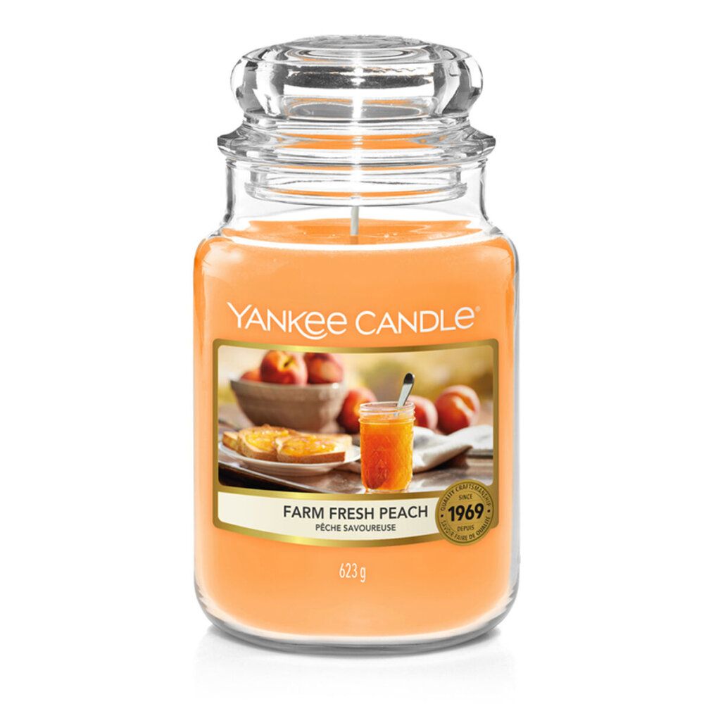 Duftkerze im Glas mit Deckel. Etikett mit Pfirsich-Motiv und Schriftzug "Yankee Candle". Gewicht: 623g.