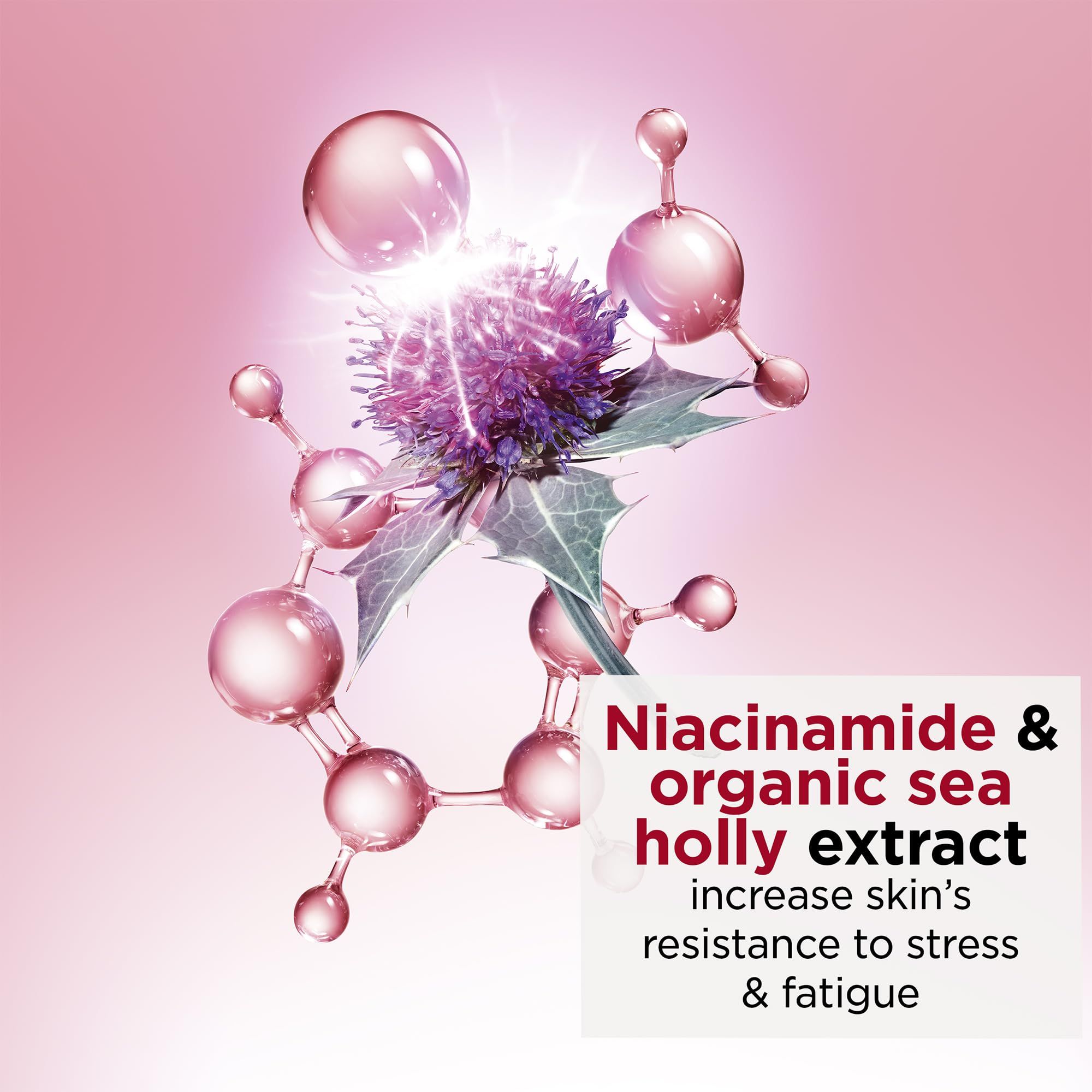 Grafik mit Molekülstruktur und Blüte. Text: Niacinamid & organischer Stechpalmenextrakt, erhöht die Widerstandsfähigkeit der Haut.