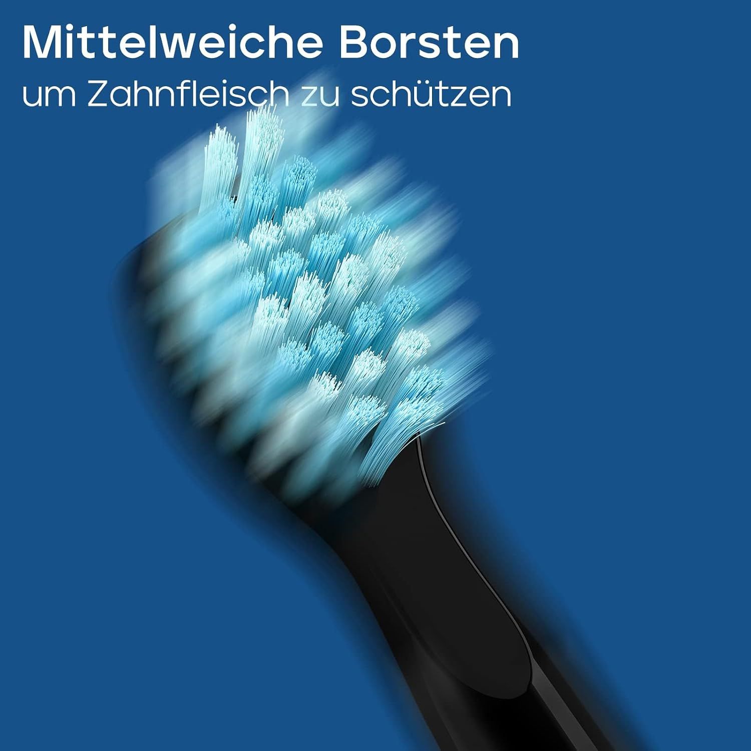 Nahaufnahme eines schwarzen Zahnbürstenkopfes mit blauen Borsten.