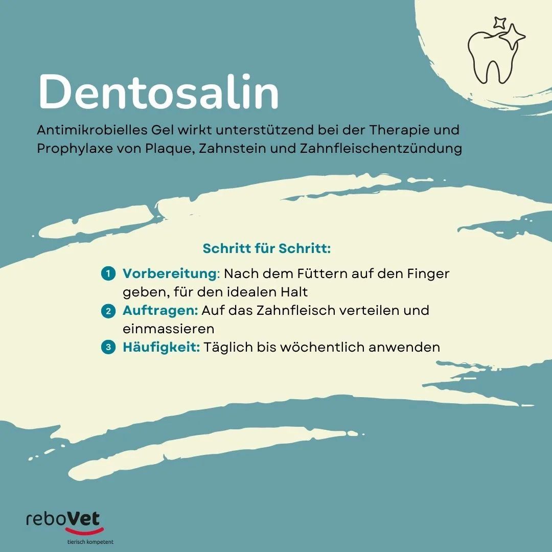 Dentosalin Adhäsives Zahngel