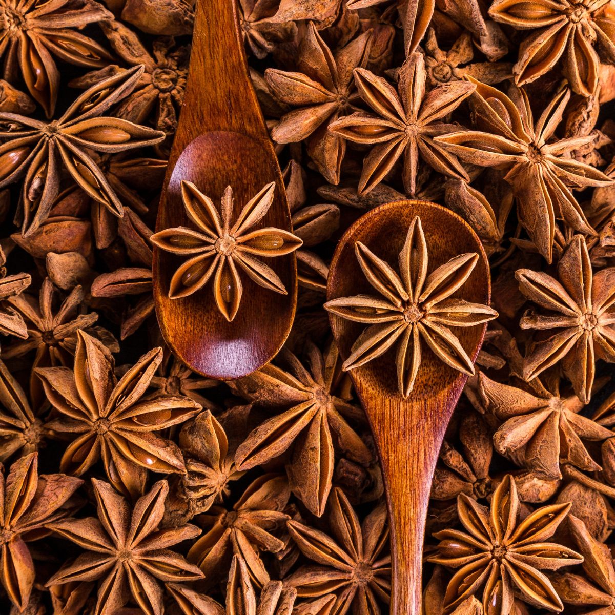 Zwei Holzlöffel mit Sternanis. Umgeben von Sternanis. Nahaufnahme.