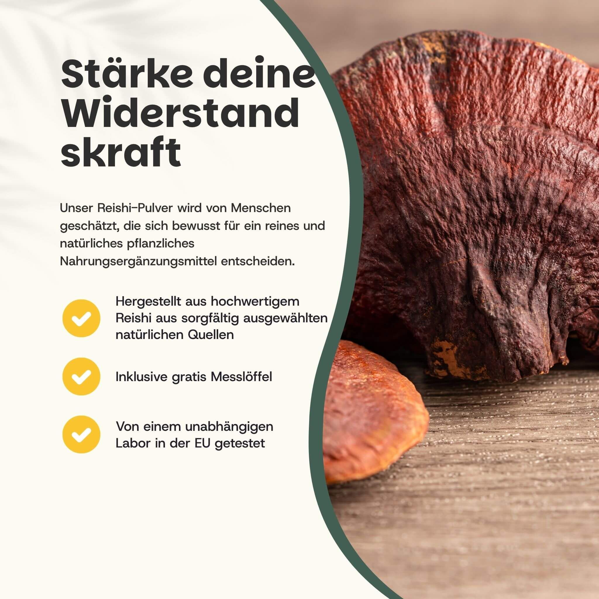 Text: Stärke deine Widerstandskraft. Reishi-Pulver, hergestellt aus hochwertigem Reishi. Inklusive Messlöffel. Getestet in der EU.