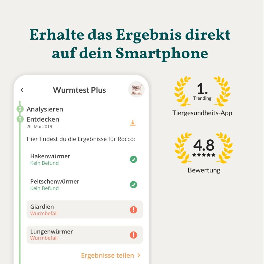 App-Ansicht mit Testergebnissen für Wurmtests bei Katzen und positiven Bewertungen.