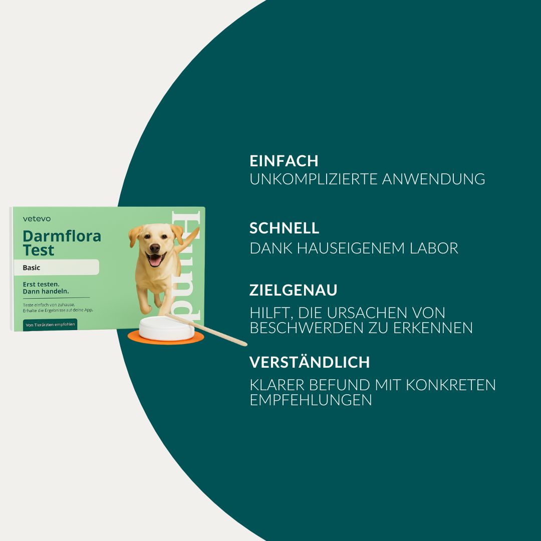 Verpackung des Darmflora Test Basic Hund mit Vorteilen: Einfach, Schnell, Zielgenau.