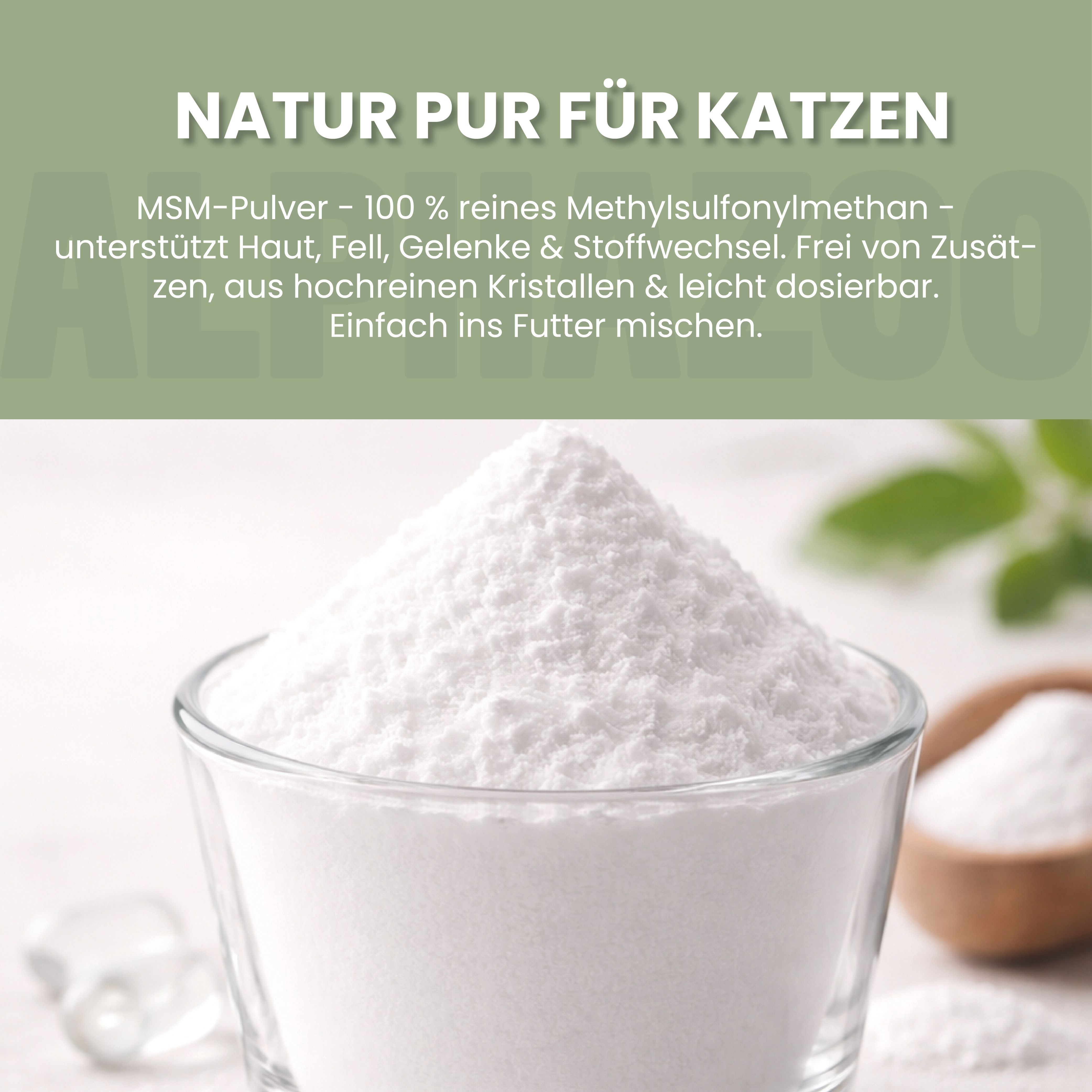 Feines weißes Pulver in einer Glasschale. Text: Natur Pur für Katzen. MSM-Pulver 100% rein.