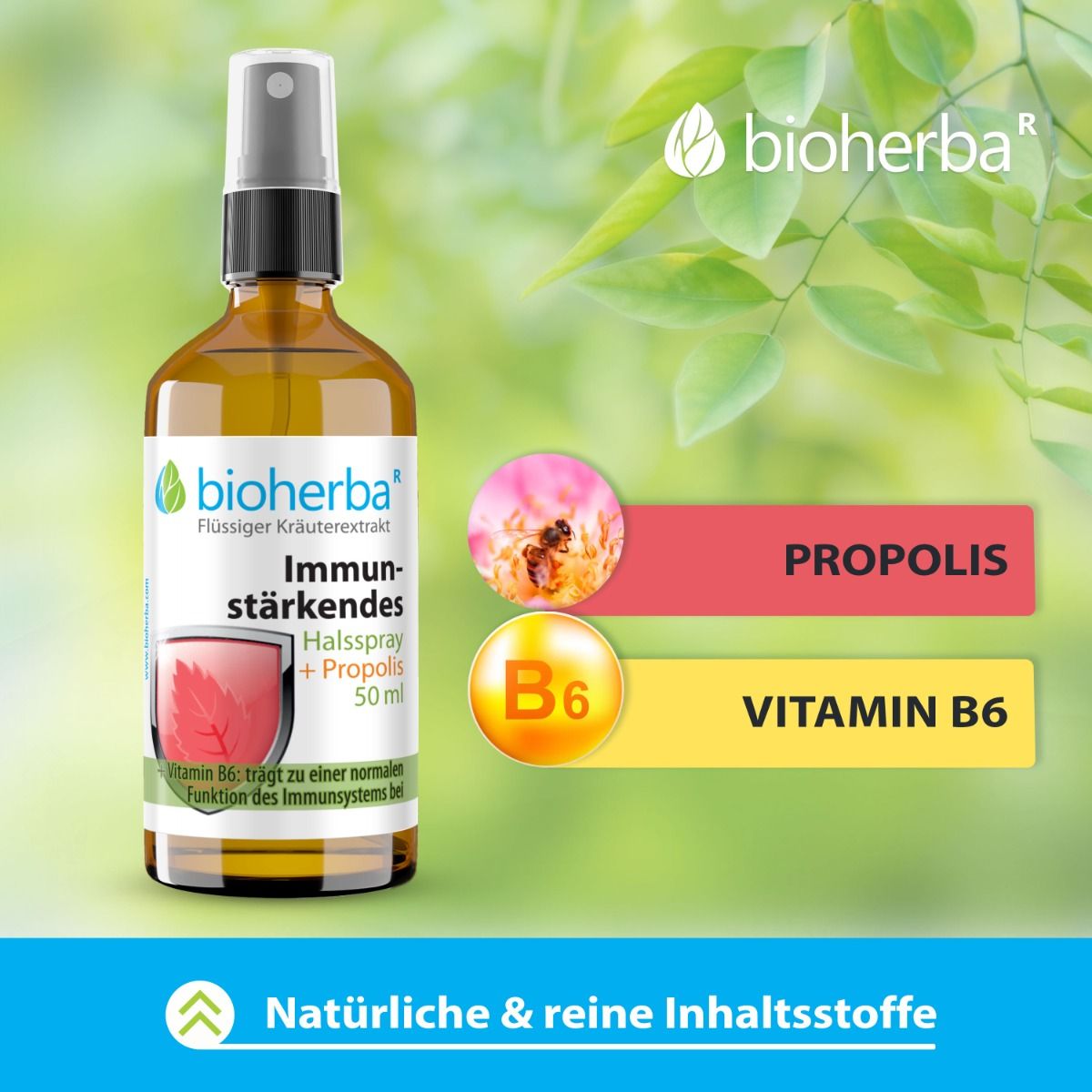 Braune Flasche mit Sprühkopf. Etikett mit Produktnamen und Inhaltsstoffen: Propolis, Vitamin B6. Hintergrund mit Blättern.