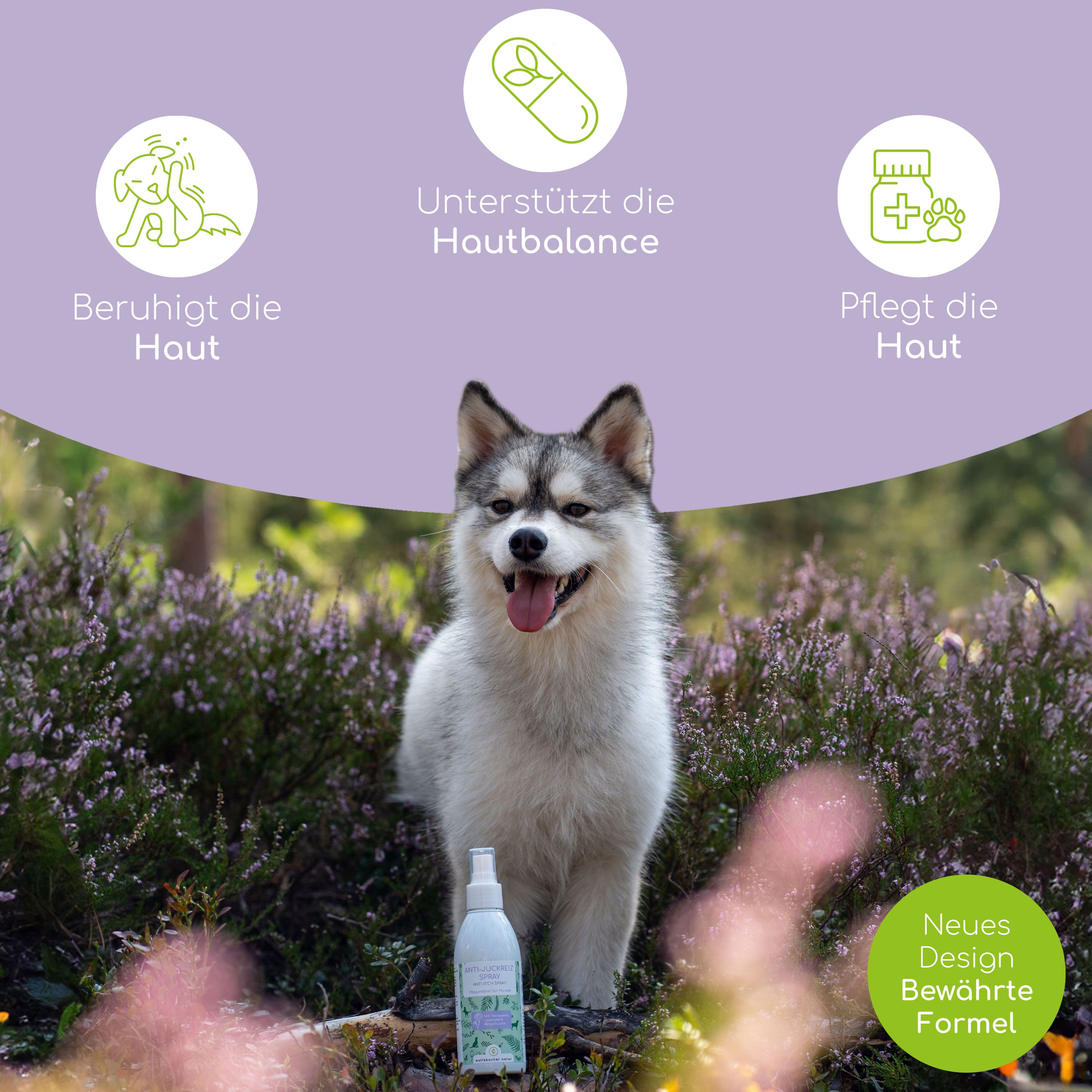 Hund im Freien, neben Produkt. Text: Beruhigt die Haut, Unterstützt die Hautbalance, Pflegt die Haut. Neues Design, bewährte Formel.