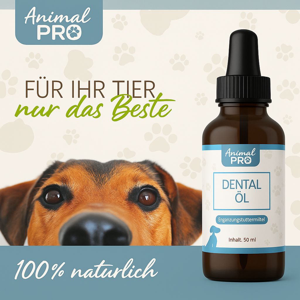 Braune Glasflasche mit schwarzem Tropfer. Etikett mit "Animal Pro" und "Dental Öl". Hundeblick im Hintergrund.