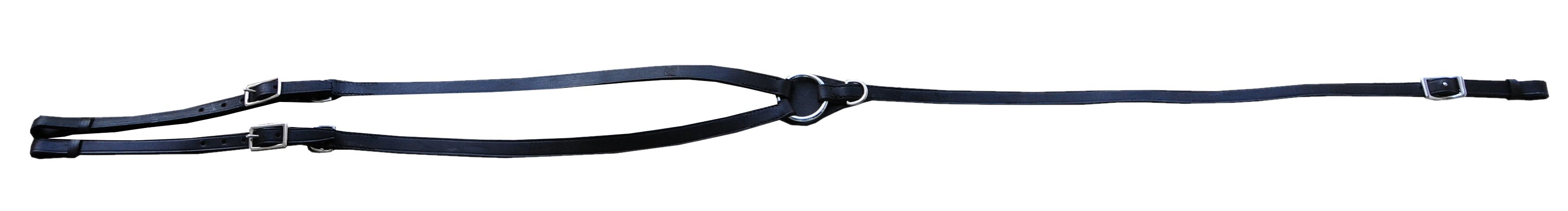 Schwarzes Vorderzeug mit Schnallen.