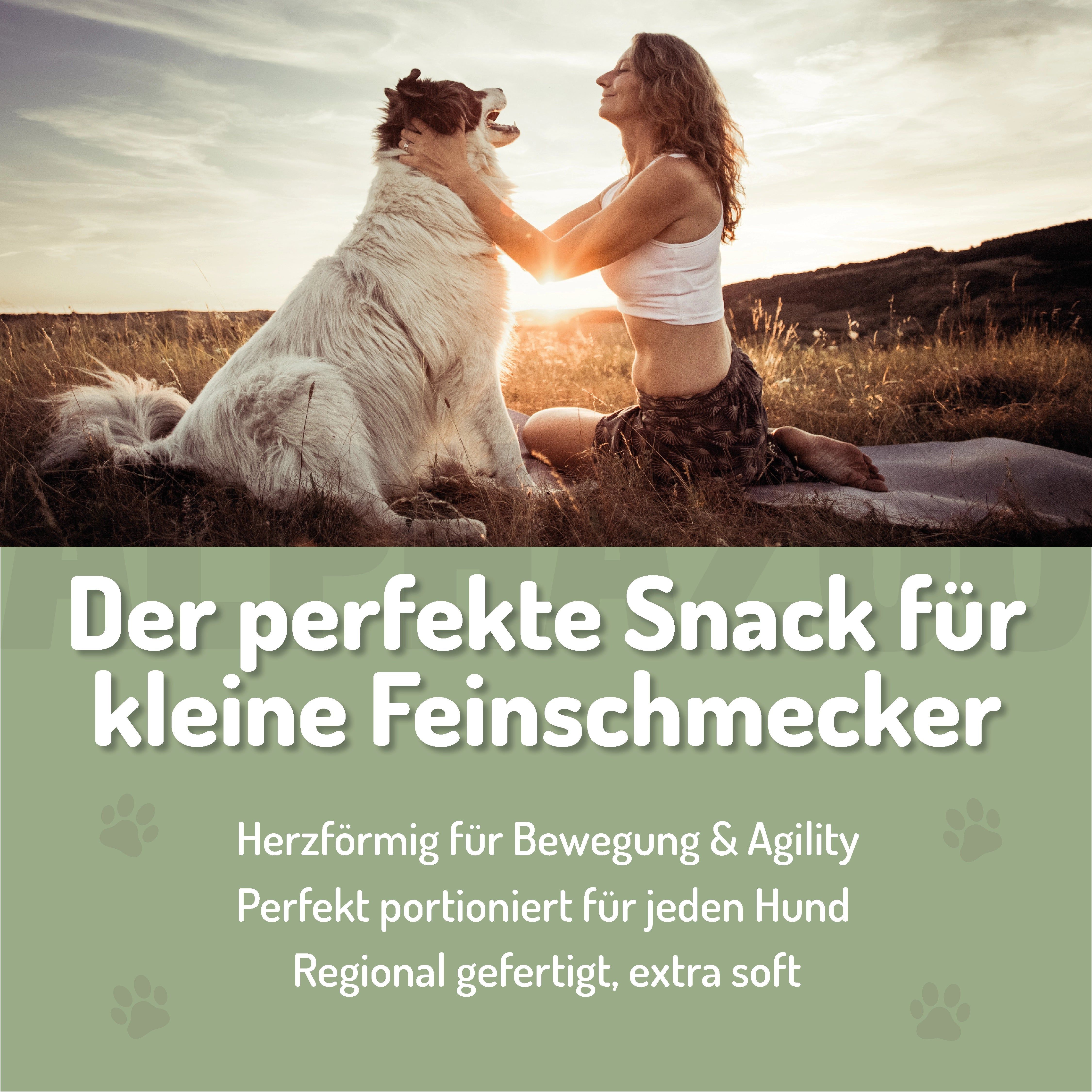 Frau und Hund im Sonnenuntergang. Text: "Der perfekte Snack für kleine Feinschmecker".