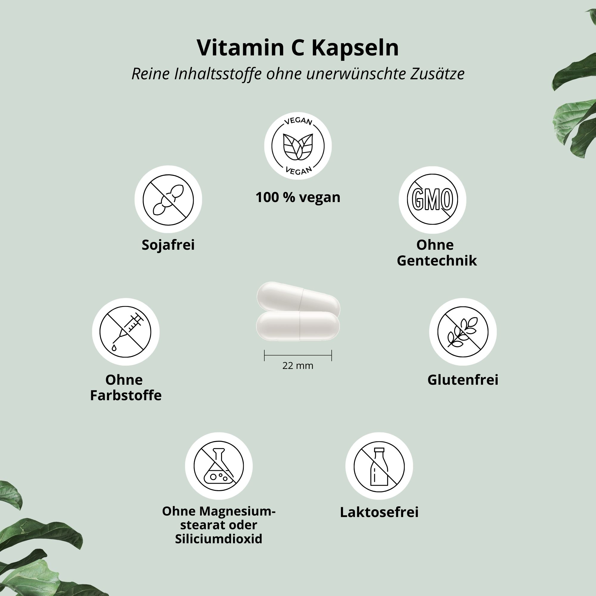 Zwei weiße Kapseln. Text: 100% vegan, sojafrei, ohne Farbstoffe, ohne Magnesiumstearat, ohne Gentechnik, glutenfrei, laktosefrei.