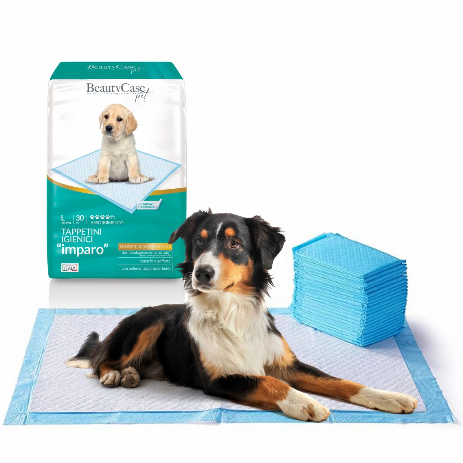 Hygienepads für Hunde. Packung und Pads mit Hund. Blaue Pads, Hund liegt auf einem Pad. BeautyCase pet.