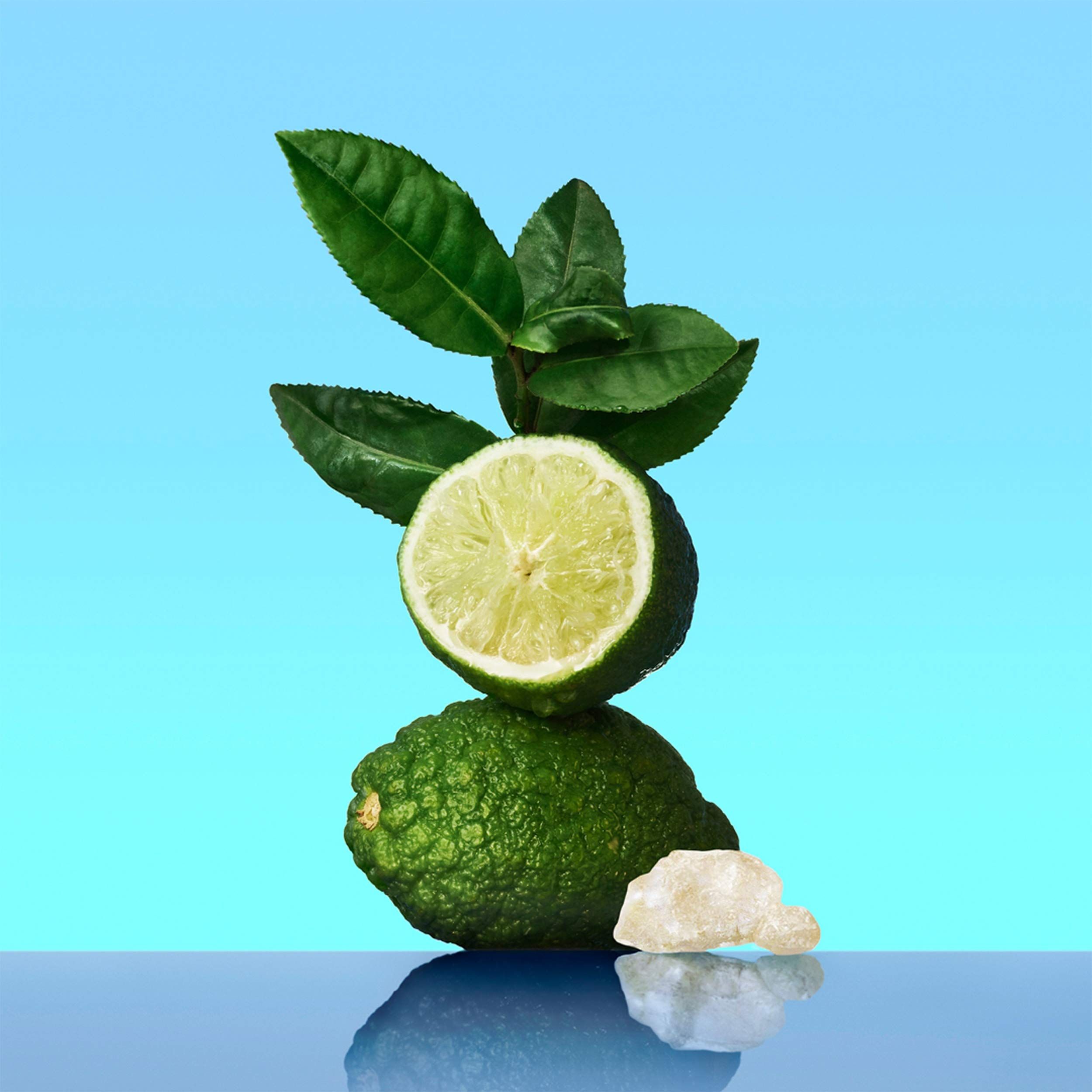 Zusammensetzung aus Limette, Blättern und einem Stein. Auf blauem Hintergrund. Die Limette ist halbiert.