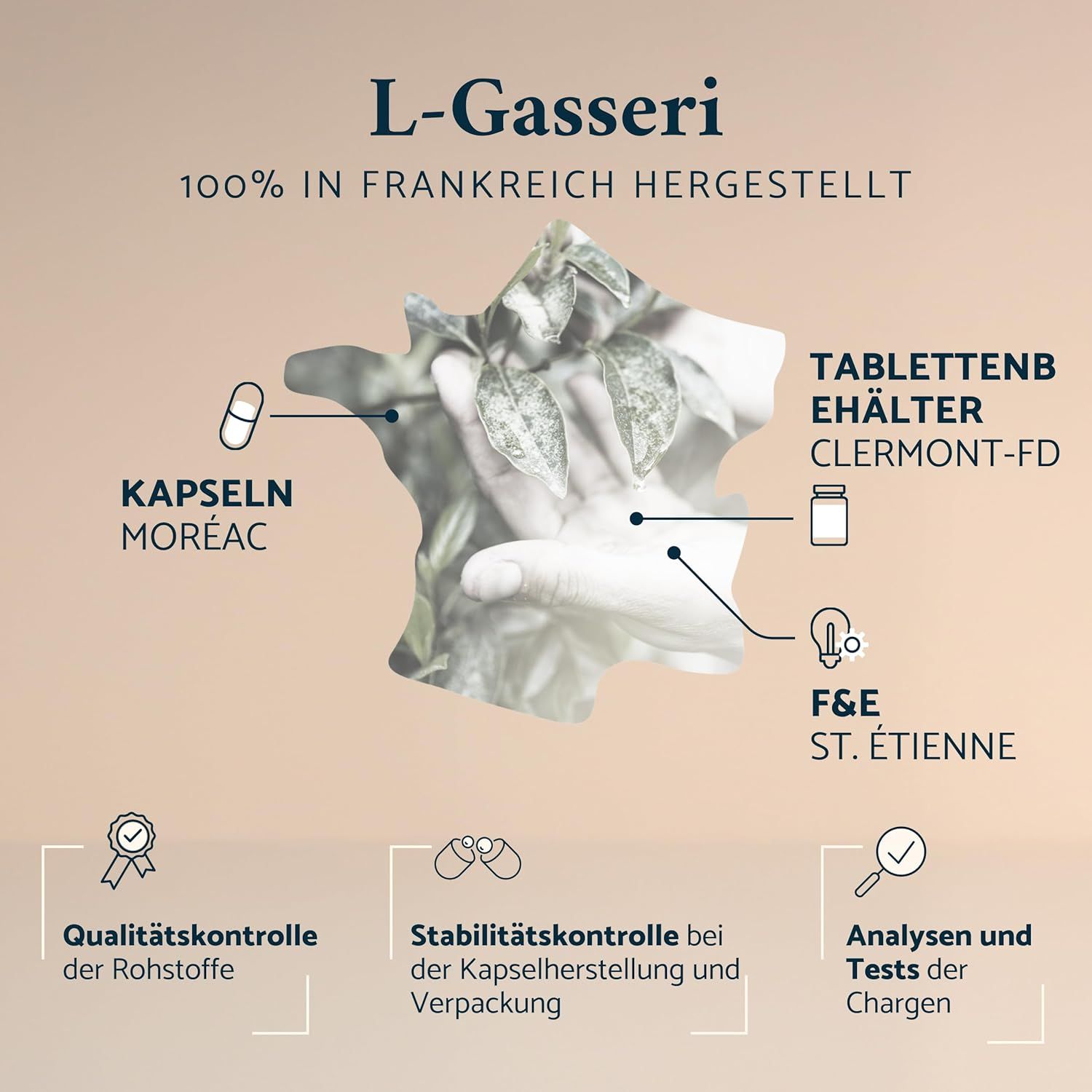 Apyforme - Lactobacillus Gasseri Bakterienstämme