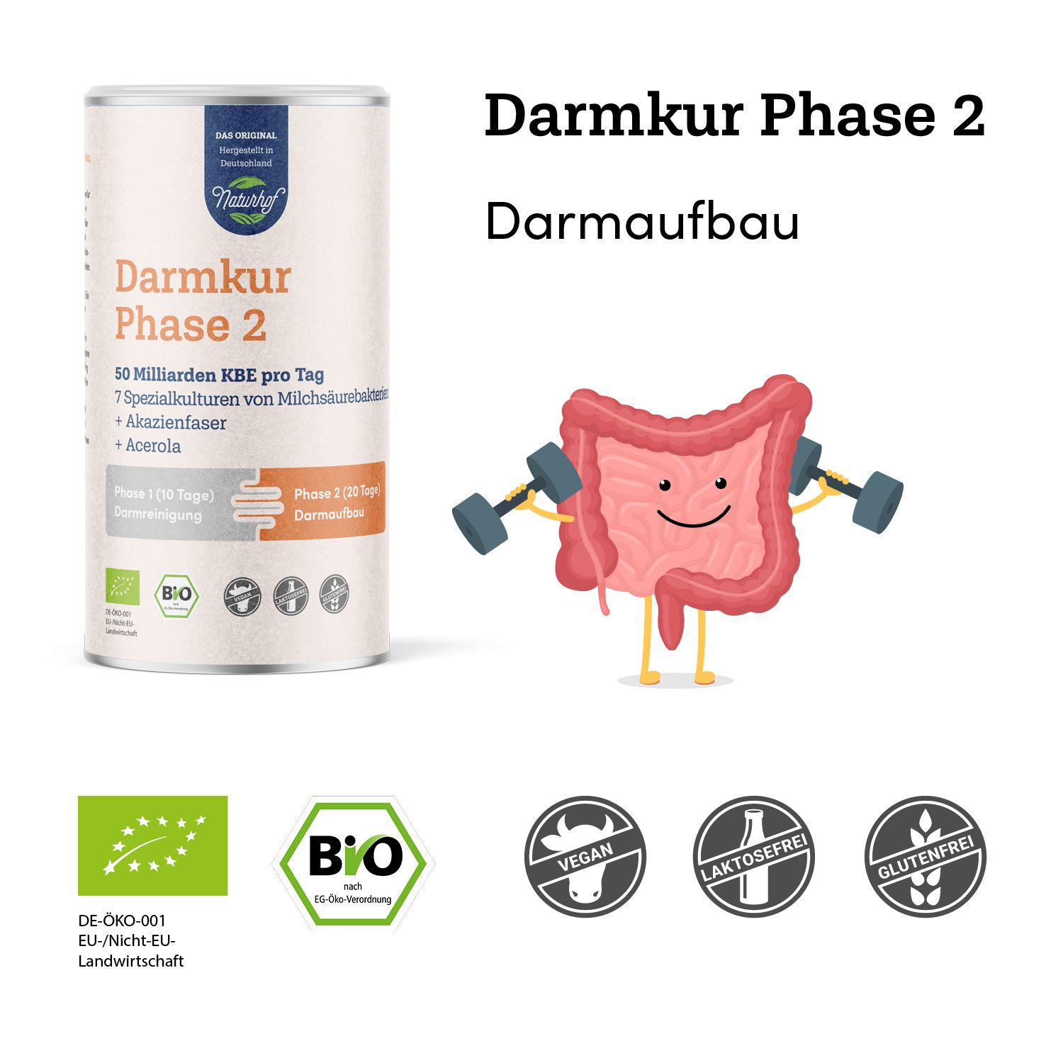 Darmkur Phase 2 Dose. Beschriftung: Darmaufbau. Bio-Siegel, Vegan, Laktosefrei, Glutenfrei. Cartoon-Darm mit Hanteln.