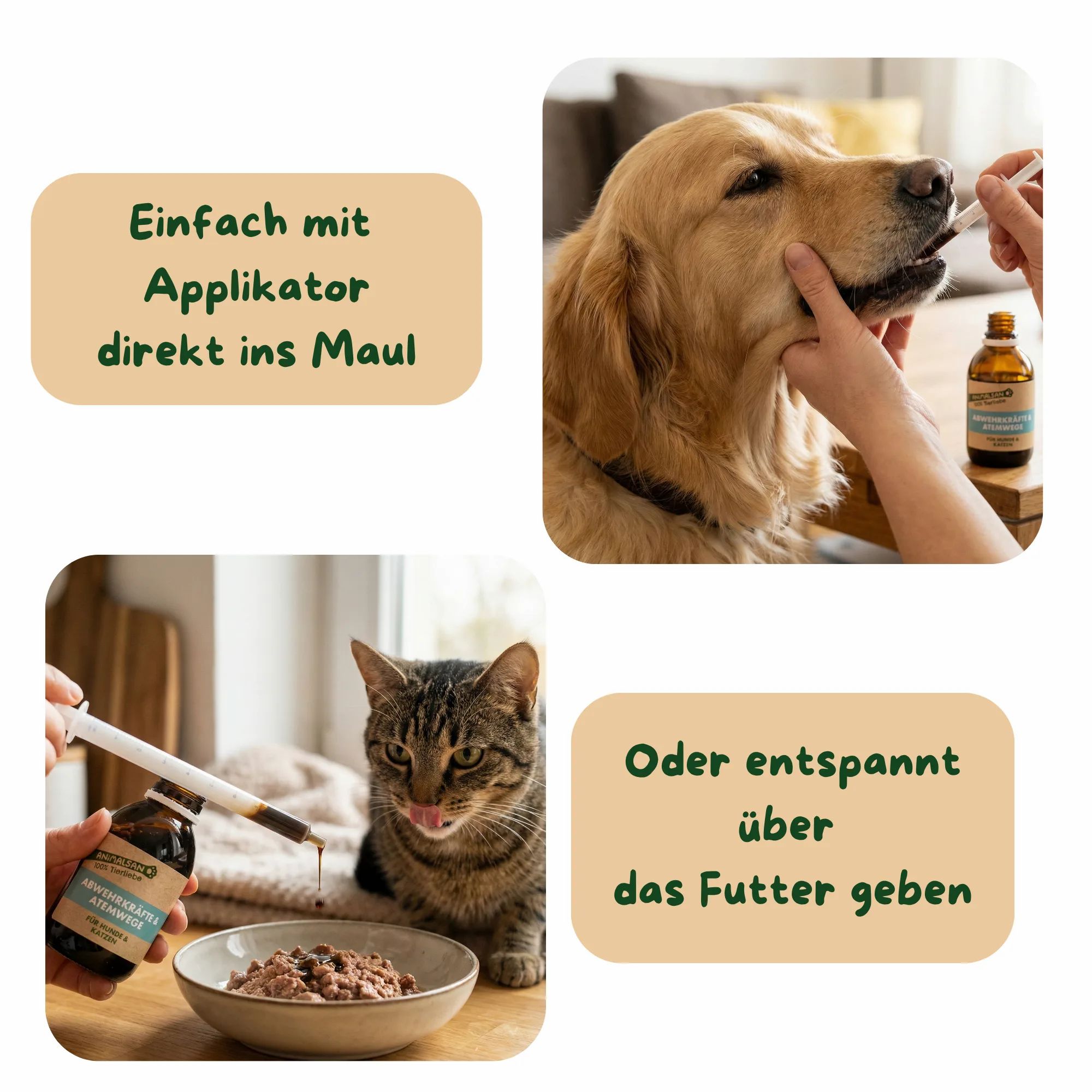 Collage: Hund erhält Tropfen per Applikator. Katze frisst Futter mit Tropfen. Text: "Einfach mit Applikator".