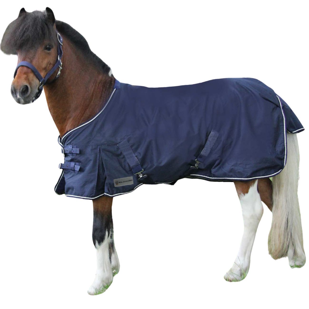 Blaue Regendecke für Shetty-Pony mit weißem Rand und Schnallen. Pony steht seitlich.