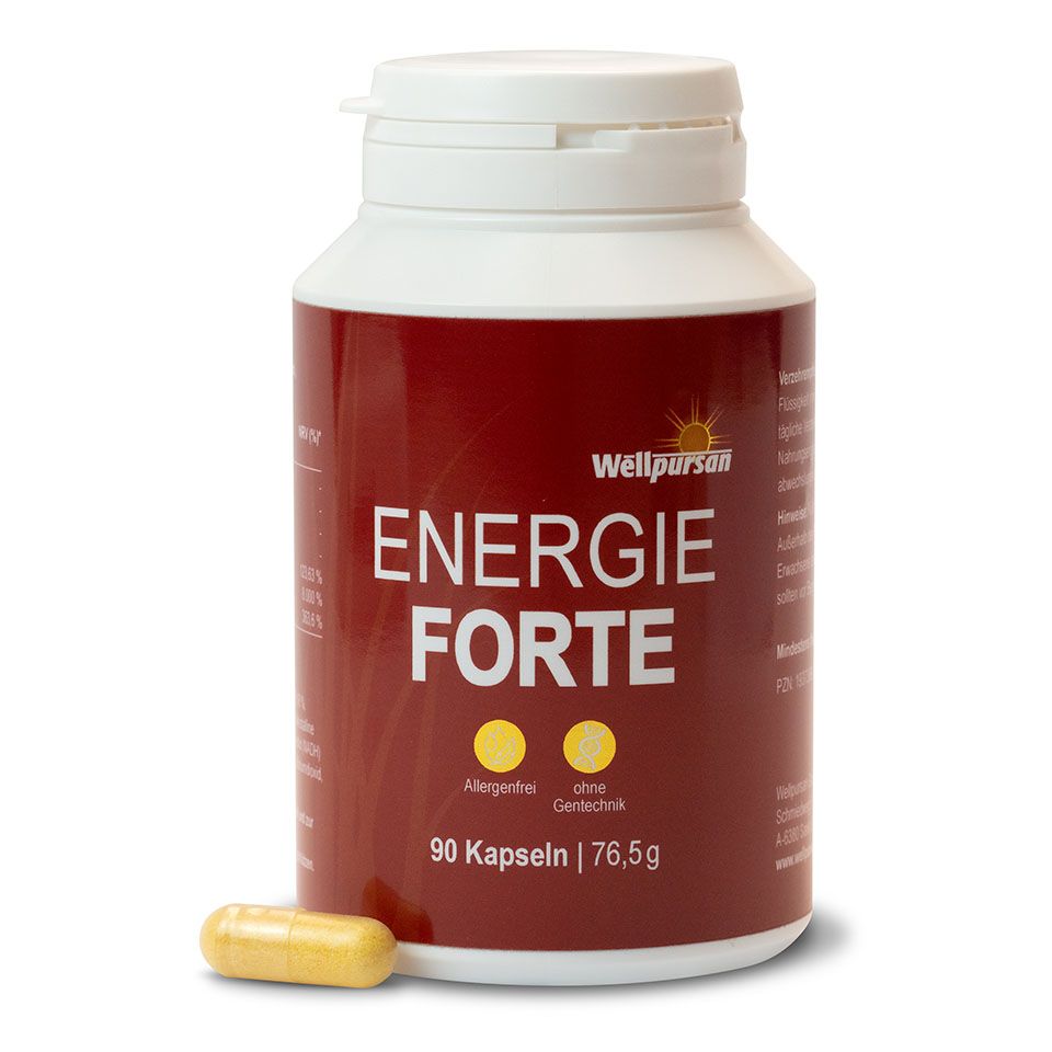 Wellpursan Gedächtnis vital +