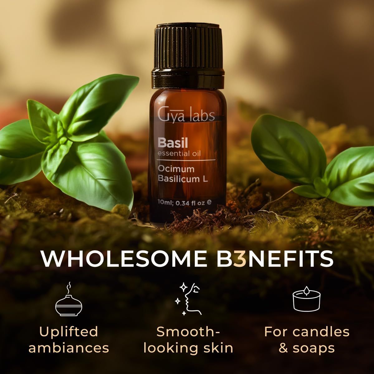 Braune Glasflasche mit schwarzem Deckel, daneben Basilikumblätter. Text: Gya Labs, Basil essential oil, Ocimum Basilicum L, 10ml; 0.34 fl oz.