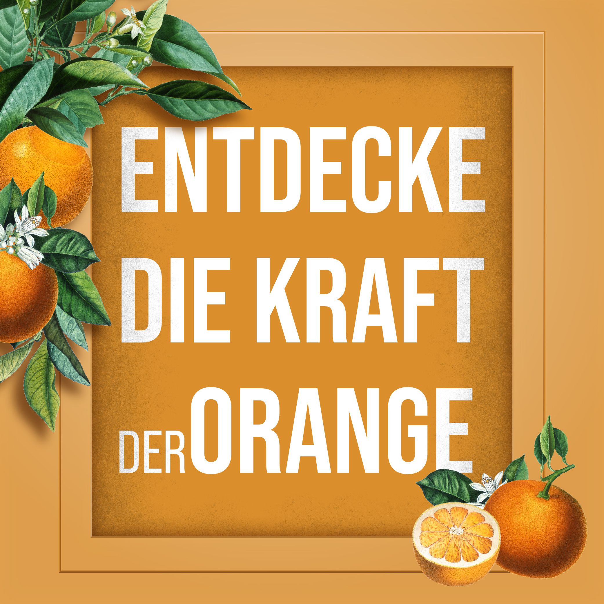 Orange mit Blättern und Blüten. Text: Entdecke die Kraft der Orange.