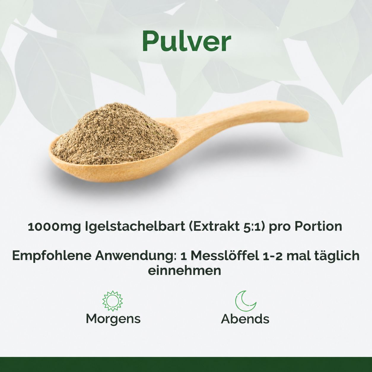 Holzlöffel mit Pulver aus Igelstachelbart Extrakt 5:1.